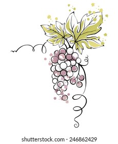 Watercolor illustration, vector -- bunch of grapes