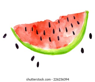 Watercolor illustration of watermelon on texture paper. Vector illustration. 