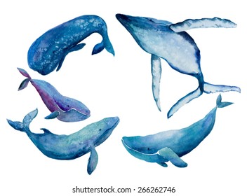 Watercolor Illustration Whales Family. Vector, isolated.