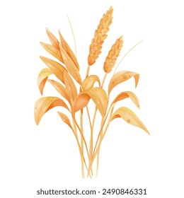 Watercolor Illustration of a Wheat Plant Bunch for Agricultural and Natural Designs