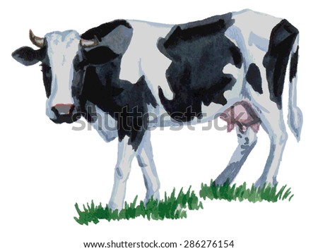 watercolor illustration of a white background cow on green grass