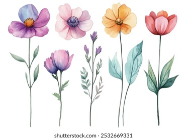 Ilustração em Aquarela de Flores Selvagens, Flores Florescentes Sortidas com Folhas