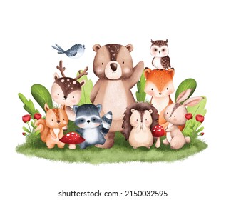 Watercolor Illustration Woodland Animals Illustration 