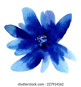 Watercolor illustrations of blue flower isolated on white background