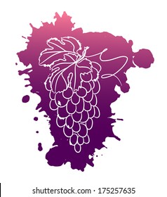 Watercolor illustrations of grapes