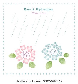 Watercolor illustrations of hydrangea and rain, image of summer and rainy season