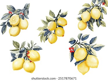  Aquarellillustrationen von Zitronen. Vektorsatz von Zitronenästen mit grünen Blättern auf weißem Hintergrund