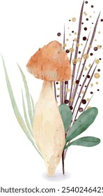 Watercolor illustrations of mushrooms and plants