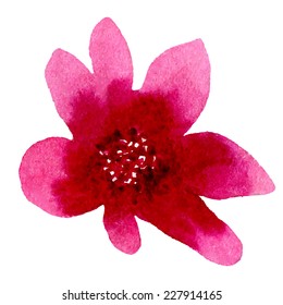 Watercolor illustrations of pink flower isolated on white background