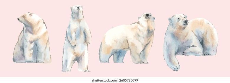 Watercolor illustrations of polar bears in various poses. Polar bears standing, sitting, and lying down. Soft pastel colors highlight the polar bears' fur. Animal illustrations, isolated vector set.