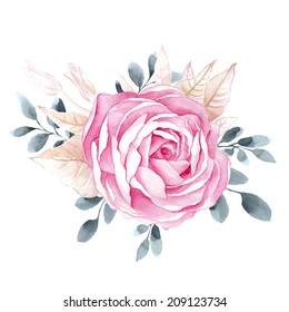 Watercolor Illustrations Rose Stock Vector (Royalty Free) 209123734 ...