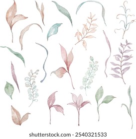 Watercolor illustrations of various leaf collections