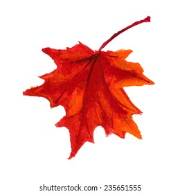 Watercolor image of autumn leaf on white background. Vector eps8