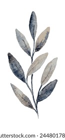 Watercolor image of a branch with leaves. The leaves come in varying shades of gray and brown and are naturally natural and aesthetically pleasing.