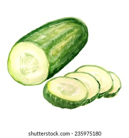 Watercolor image of half of cucumber on white background. Vector eps8