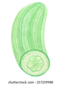 Watercolor image half of cucumber on white background 