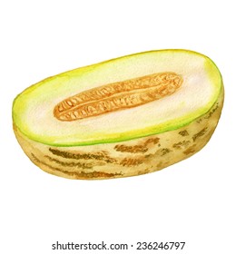 Watercolor image of half of melon isolated on white background. Vector eps8