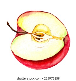 Watercolor image of half of red apple. Vector eps8