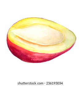 Watercolor image of half of red mango. Vector eps8