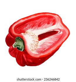 Watercolor image of half of red paprika on white background. Vector eps8