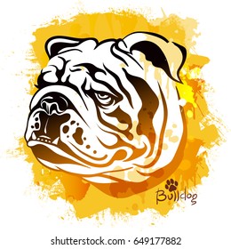 watercolor image of the head of a dog of the English Bulldog breed