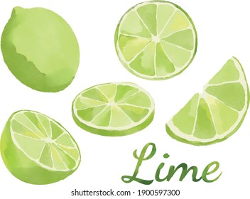 watercolor image of a lime 