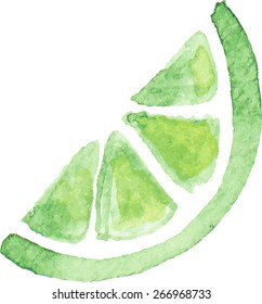 Watercolor image of lime slice on white background. Vector