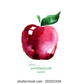 watercolor image of a red apple with leaf, vector