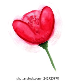 Watercolor image of red poppy flower on white background. Vector eps8