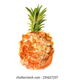 Watercolor image of small pineapple on white background. Vector eps8