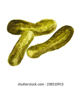 Watercolor image of three small pickled cucumbers on white background. Vector eps8