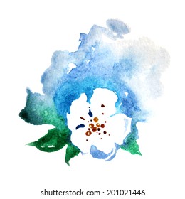 watercolor image of a white flower, vector