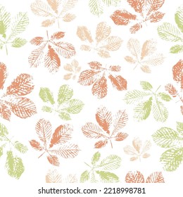 watercolor imprints of twigs with leaves. Isolated objects on a white background. handmade painted.