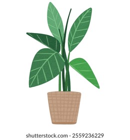  Watercolor Indoor Plant Doodle Style Minimalist  Vector for Print and Social Media Posts