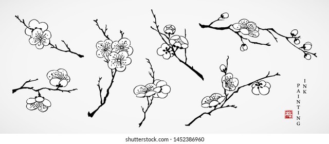 Watercolor ink paint art vector texture illustration cherry blossom flower branch collection. Translation for the Chinese word : cherry blossom