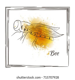 Watercolor Insect. Bee. Vector illustration for postcard or print or interior design. Hand drawn