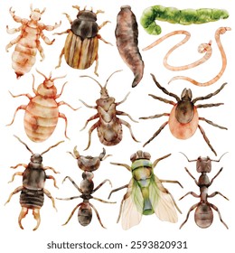 Watercolor Insect and Parasite Illustration Set, Realistic Bug Collection, Lice, Flea, Tick, Ant, Fly, Worm, Larva, Termite, Bedbug, Pest, Hand Painted, Scientific, Educational, Entomology
