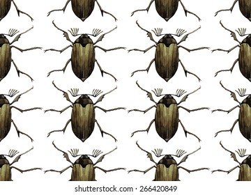 Watercolor insects: chafer.  Vector pattern