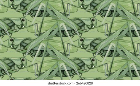 Watercolor insects: grasshopper. Vector pattern