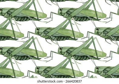 Watercolor insects: grasshopper. Vector pattern