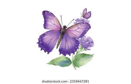 watercolor iris flower, Watercolor iris, vector illustration