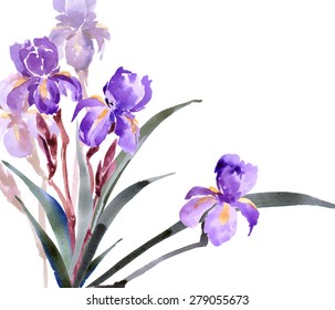 Watercolor irises. Hand drawn vector illustration. Spring or summer design for invitation, wedding or greeting cards.