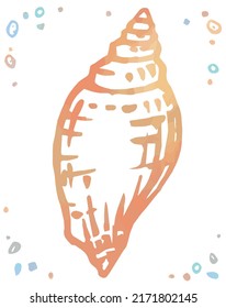 Watercolor isolated seashell. Vector illustration.