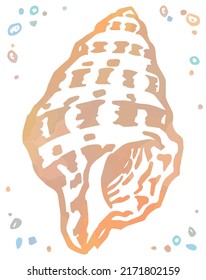 Watercolor isolated seashell. Vector illustration.