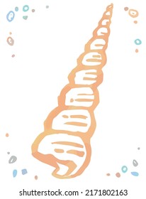 Watercolor isolated seashell. Vector illustration.