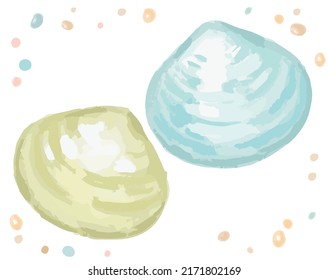 Aguas aisladas con conchas marinas. Ilustración vectorial.