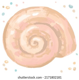 Watercolor isolated seashell. Vector illustration.