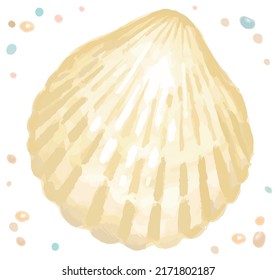 Aguas aisladas con conchas marinas. Ilustración vectorial.