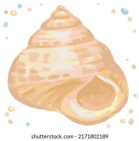 Watercolor isolated seashell. Vector illustration.