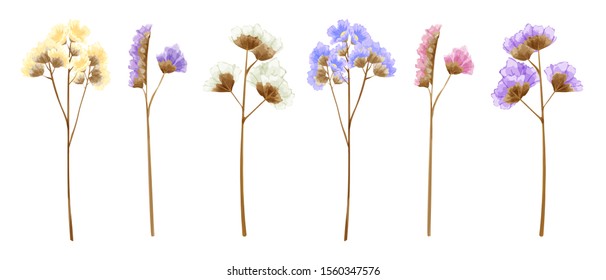 Watercolor isolated statice flowers in many sweet colors. 